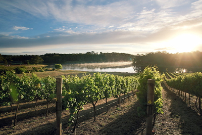 玛格丽特河（Margaret River），西澳大利亚州