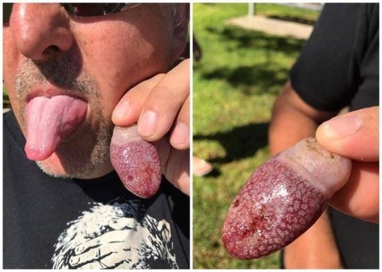 珀斯现神秘生物