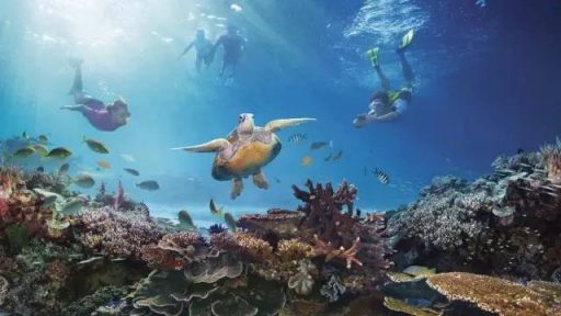 探索未知的海底世界