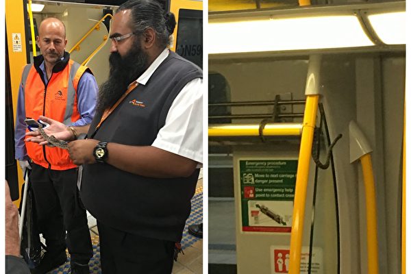 在车厢的行李架上发现的童蟒。之后被捕蛇人员带走。（NSW TrainLink推特）