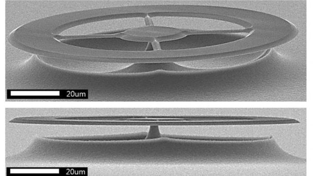 昆士兰大学研制出超灵敏超声波传感器,可听到细菌声音