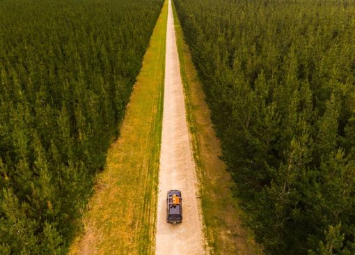 （石灰岩海岸，Noolook Forest Reserve，自驾，图片来自@Karen Smith）