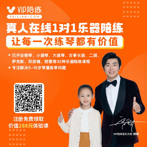 真人在线1对1乐器陪练，注册免费领取价值￥288元体验课